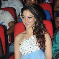 Tamanna Bhatia - Jr NTR's Oosaravelli Audio Launch Gallery | Picture 77165
